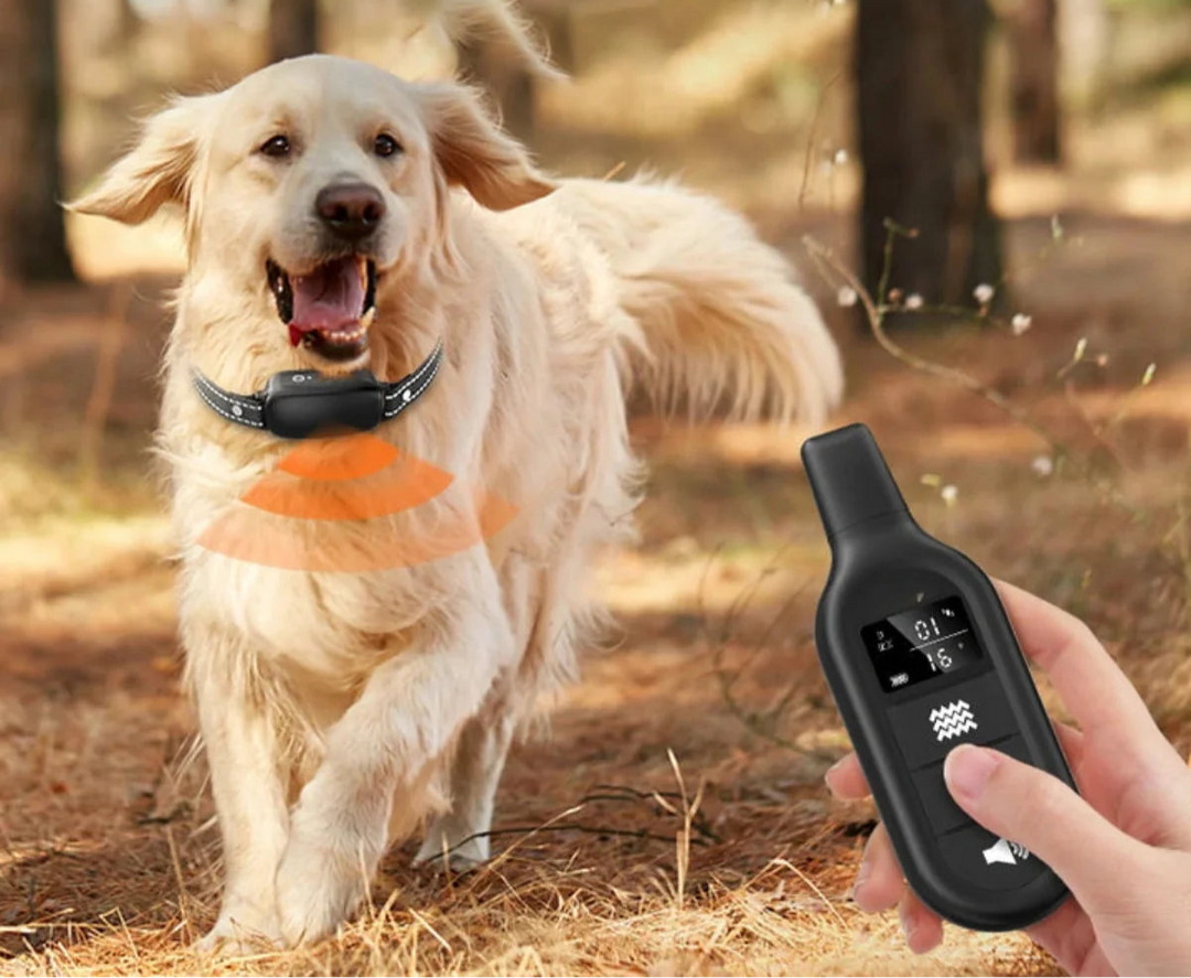 Hundehalsband mit Fernbedienung und 16 Intensitätsstufen für effektives Hundetraining 2