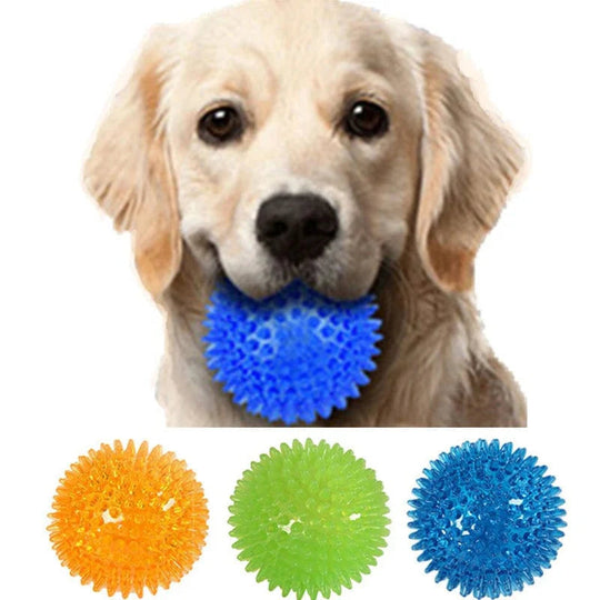 Hundespielzeug Ball für Training und Zahnreinigung 1