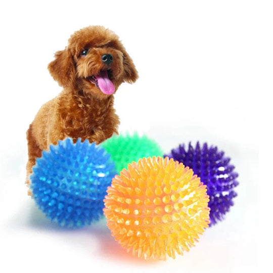 Hundespielzeug Ball für Training und Zahnreinigung 2
