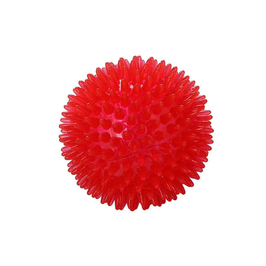 Hundespielzeug Ball für Training und Zahnreinigung 6