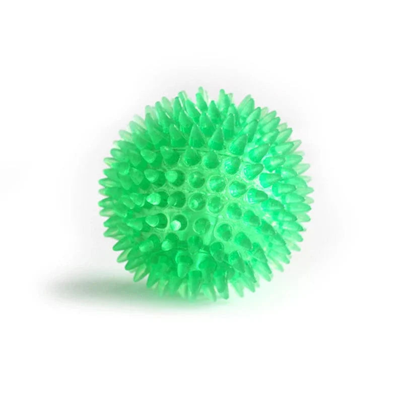 Hundespielzeug Ball für Training und Zahnreinigung 7