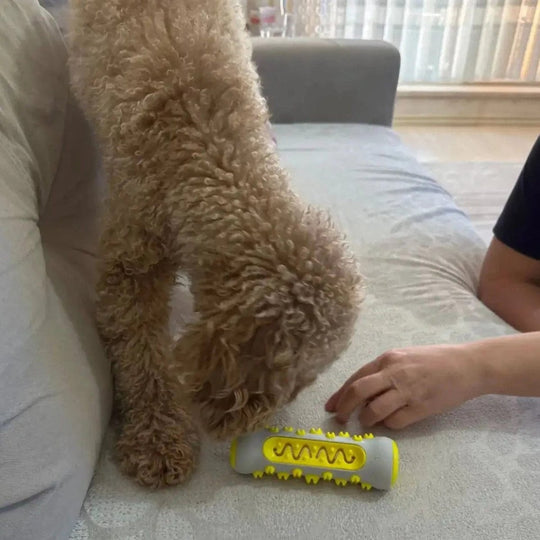 Hundespielzeug Beruhigend für Nervöse Hunde zur Entspannung und Stressbewältigung 6