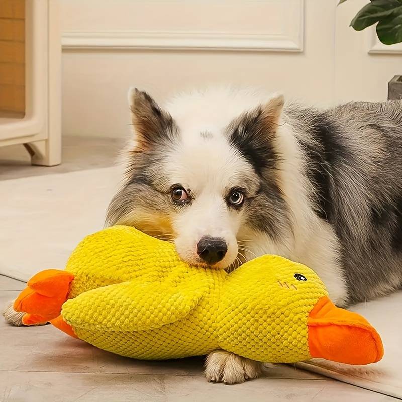 Hundespielzeug Entenform Für Alle Größen Mit Quackgeräusch Und Beschäftigung 3