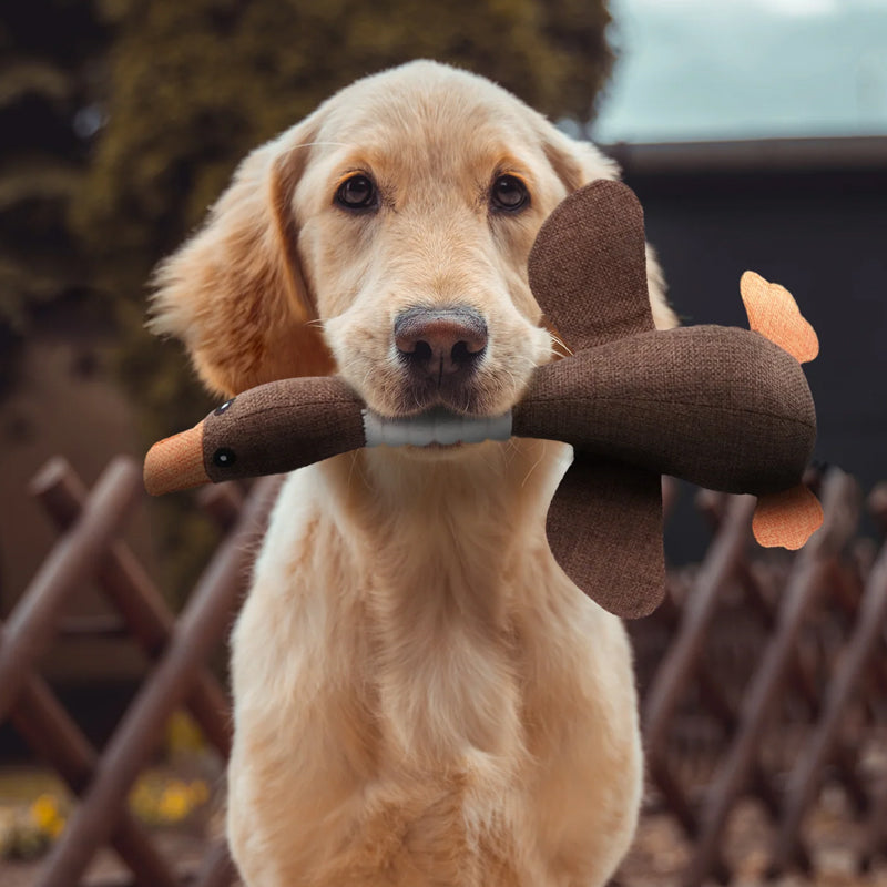 Hundespielzeug für alle Rassen und Größen 1
