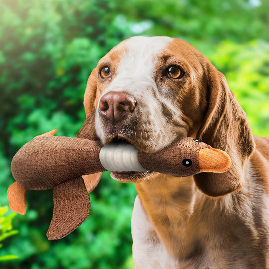 Hundespielzeug für alle Rassen und Größen 2
