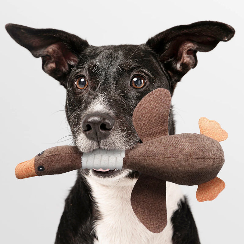 Hundespielzeug für alle Rassen und Größen 5