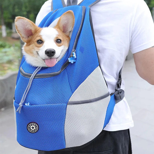 Hundetransport Rucksack für kleine Hunde 1