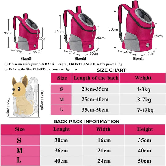 Hundetransport Rucksack für kleine Hunde 2