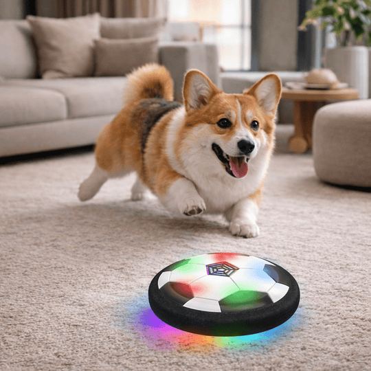 Interaktiver Spielball für Hunde mit unvorhersehbaren Bewegungen 0
