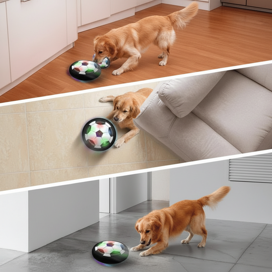 Interaktiver Spielball für Hunde mit unvorhersehbaren Bewegungen 2