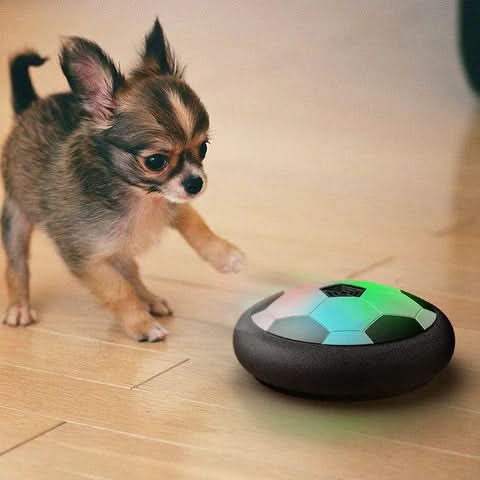 Interaktiver Spielball für Hunde mit unvorhersehbaren Bewegungen 4