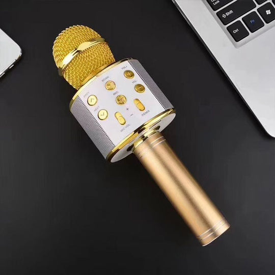 Kabelloses Karaoke-Mikrofon für alle Gelegenheiten 9