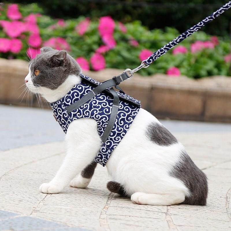 Katzen Geschirr Set für Outdoor Abenteuer 0