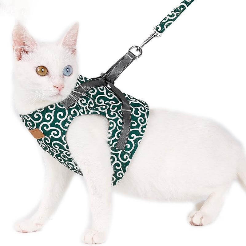 Katzen Geschirr Set für Outdoor Abenteuer 4