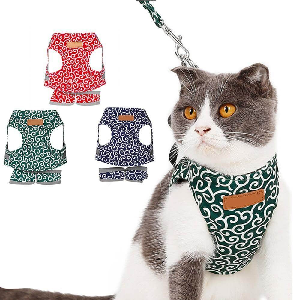 Katzen Geschirr Set für Outdoor Abenteuer 6