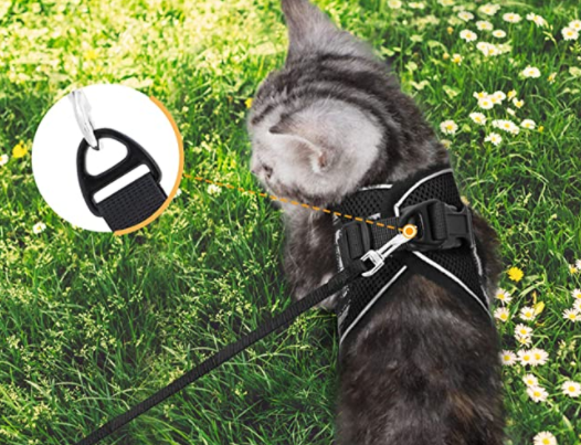 Katzengeschirr mit Leine für Abenteuerlustige 4