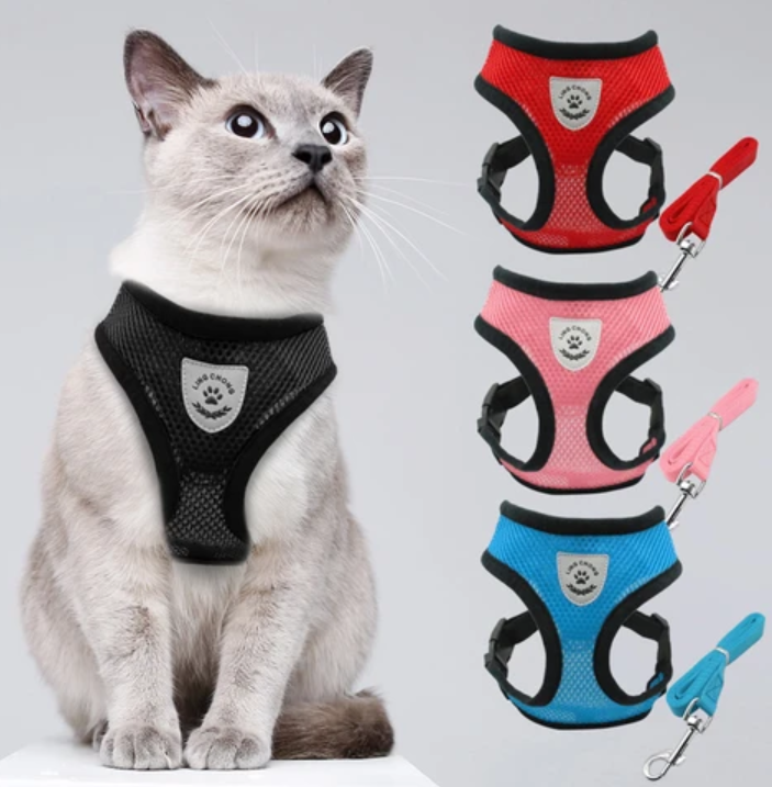 Katzengeschirr mit Leine für Abenteuerlustige 8