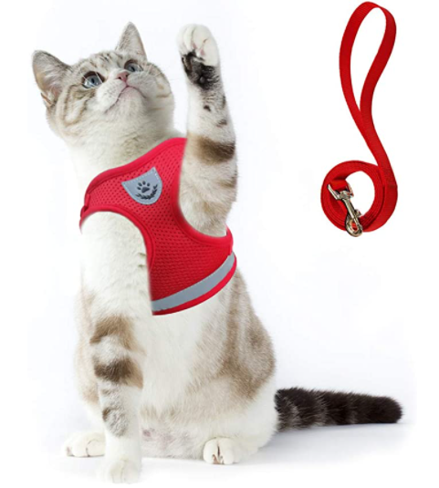 Katzengeschirr mit Leine für Abenteuerlustige 9