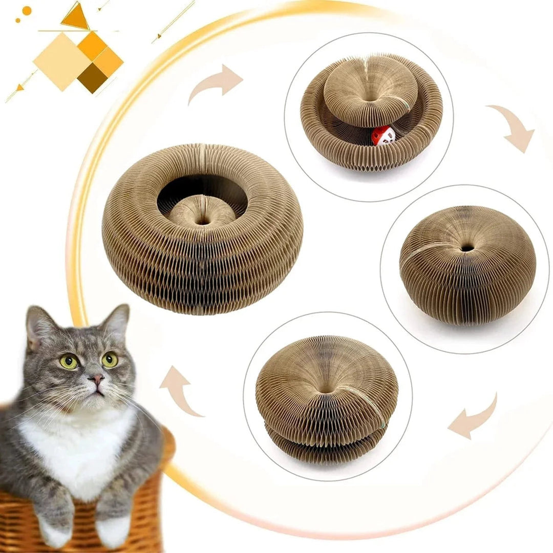 Katzenkratzbrett Rund mit Spielball 1