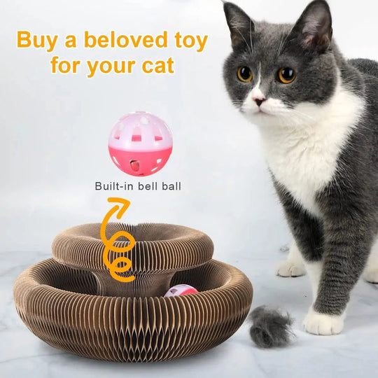 Katzenkratzbrett Rund mit Spielball 2