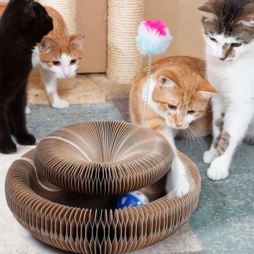 Katzenspielzeug Für Aktive Katzen – Robustes Spielzeug Für Katzen Jeden Alters 1