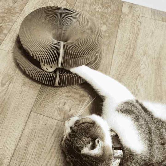Katzenspielzeug Für Aktive Katzen – Robustes Spielzeug Für Katzen Jeden Alters 2