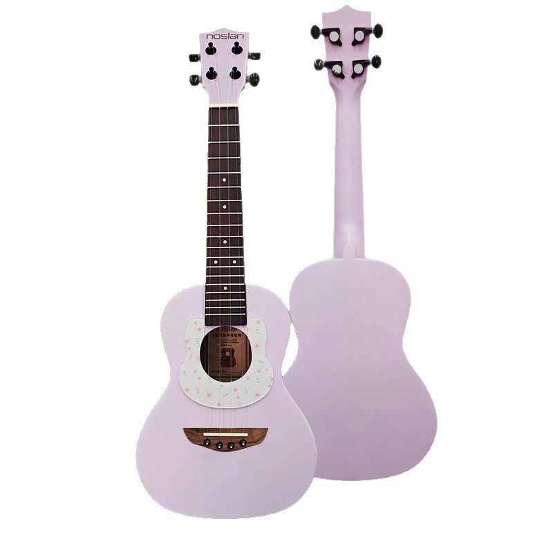 Kinder Akustikgitarre Mini Kompakt für Junge Musiker 3