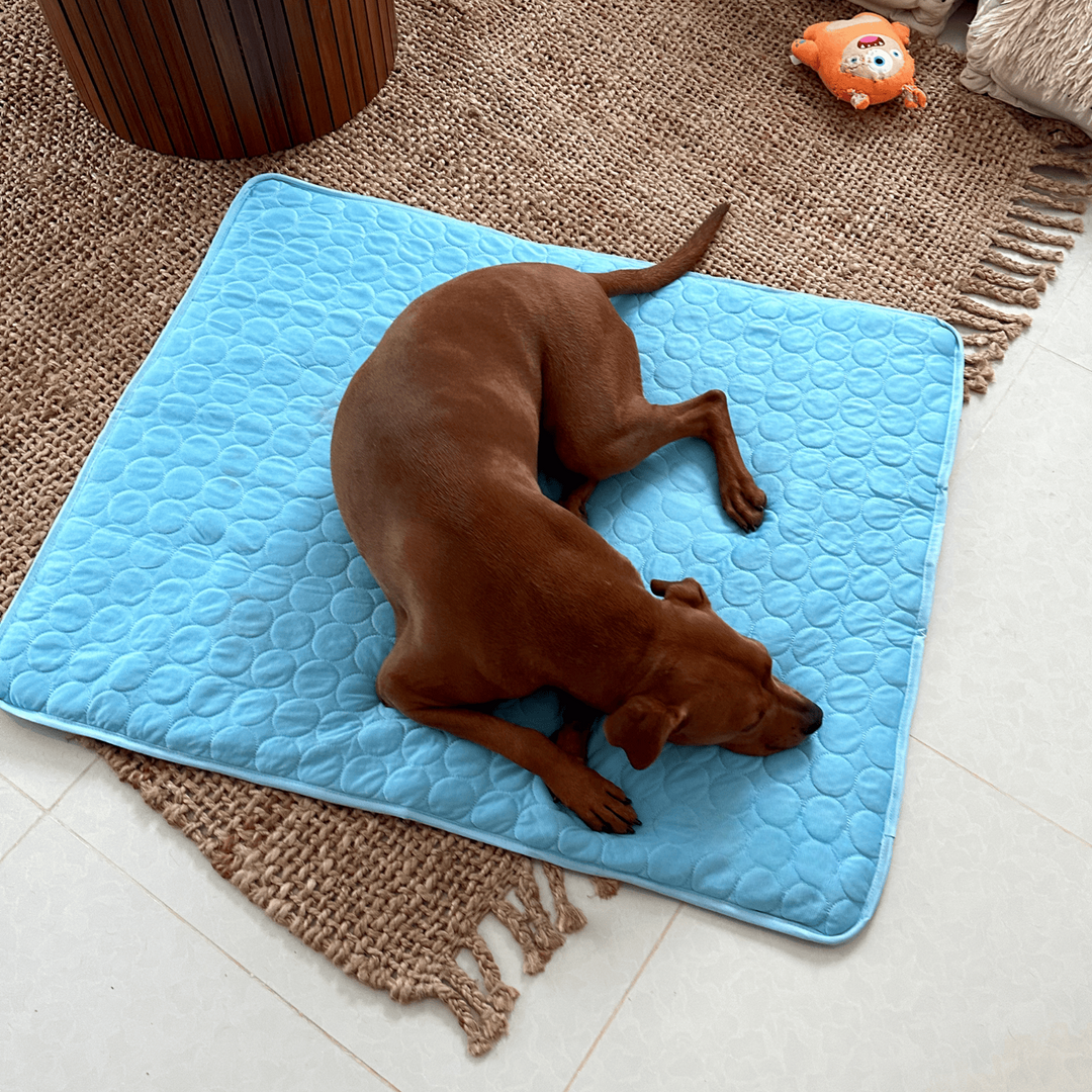 Kühlmatte für Hunde Innovatives Design für Sommerkomfort 0