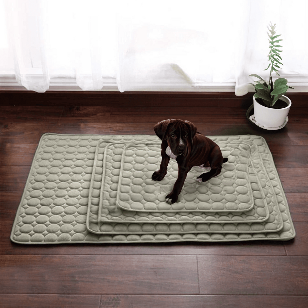 Kühlmatte für Hunde Innovatives Design für Sommerkomfort 4