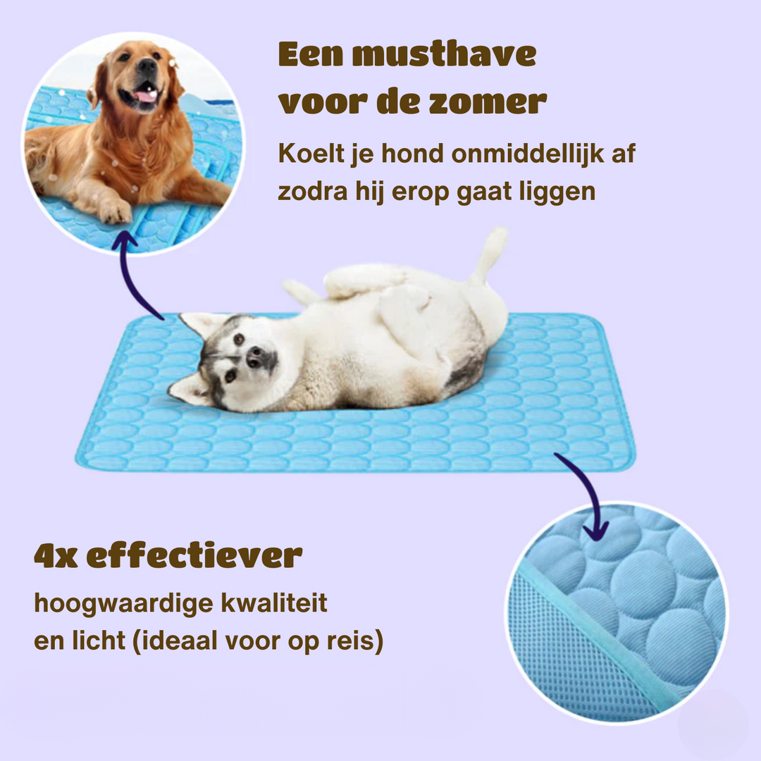 Kühlmatte für Hunde Innovatives Design für Sommerkomfort 9