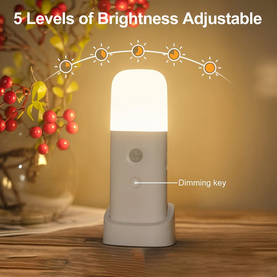 LED Nachtlampe mit Bewegungssensor und einstellbarer Helligkeit 0