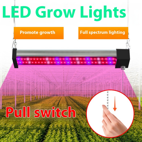LED Pflanzenlampe Vollspektrum für Innenräume 1