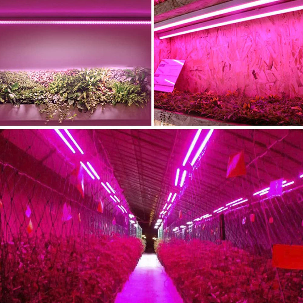 LED Pflanzenlampe Vollspektrum für Innenräume 3