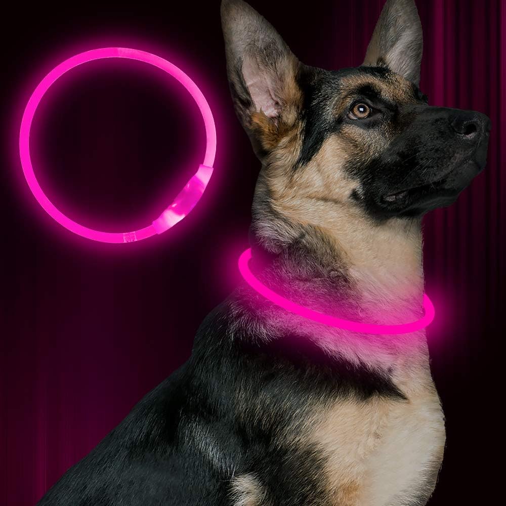 Leuchthalsband Hund LED Wiederaufladbar Verstellbar für Sicherheit bei Abendspaziergängen 0
