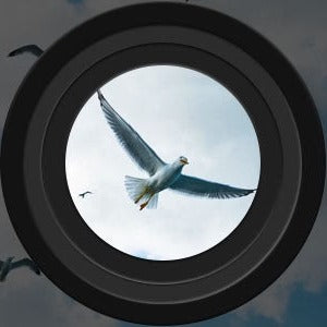 Nachtsicht-Fernglas mit großer Reichweite für Outdoor-Abenteuer 1