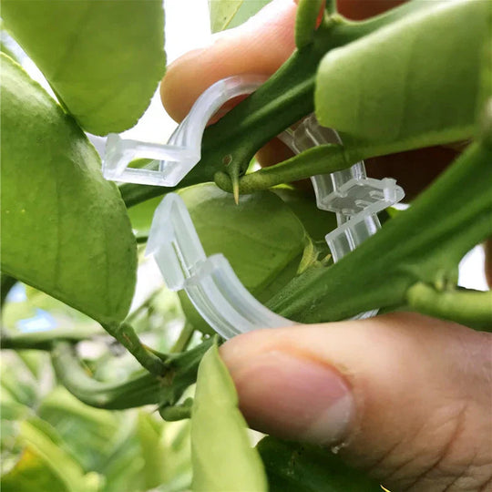 Pflanzenstützclips für Gartenarbeit 1