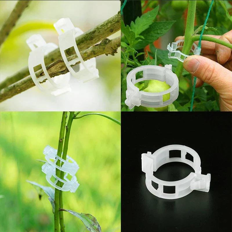 Pflanzenstützclips für Gartenarbeit 2