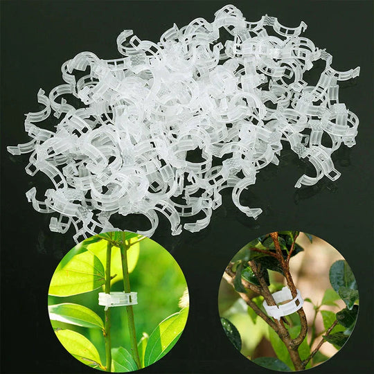 Pflanzenstützclips für Gartenarbeit 3