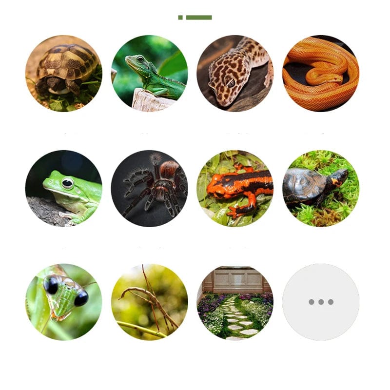 Reptilien-Moos-Teppich für Terrarien 5