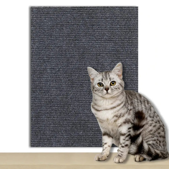 Selbstklebende Kratzschutzplatte für Katzen - Transparente Möbel- und Wandabdeckung 8