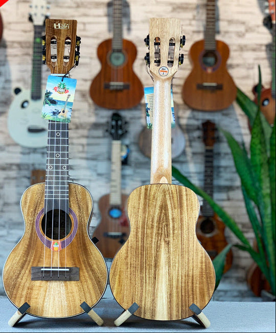 Ukulele 23 Zoll Koa Holz Modell für Damen und Herren 1