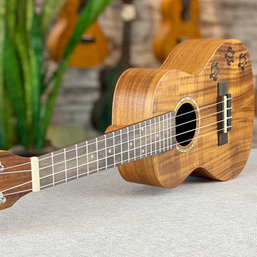 Ukulele 23 Zoll Konzertstil für Damen und Herren 2