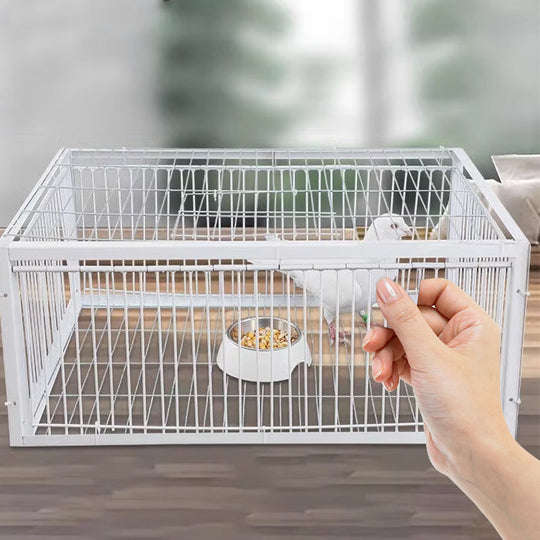 Vogelfalle mit Rückschlagsicherung für Gärten und Landwirtschaft 1