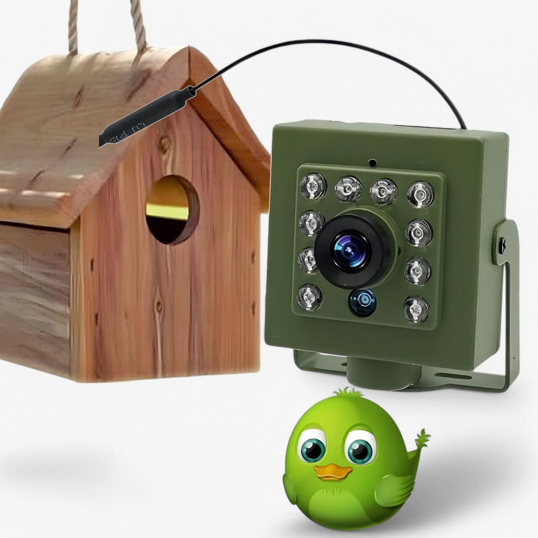 WLAN-Kamera für Vogelbeobachtung mit Nachtsicht 1