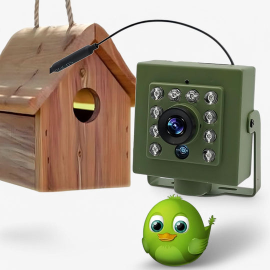 WLAN-Kamera für Vogelbeobachtung mit Nachtsicht 1