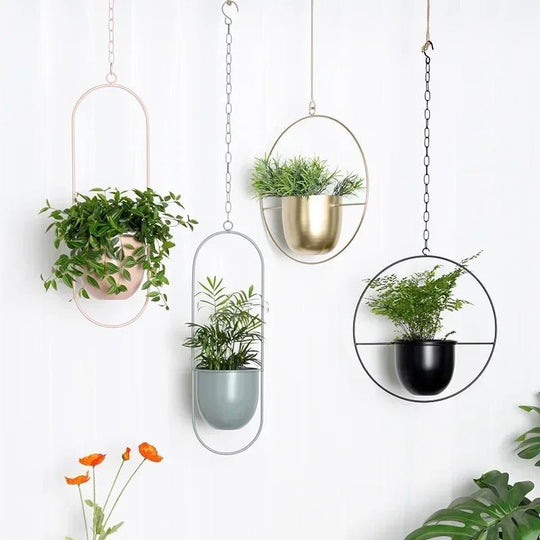 Wand-Pflanzenhalter Minimalistisch mit Verstellbarer Kette 1