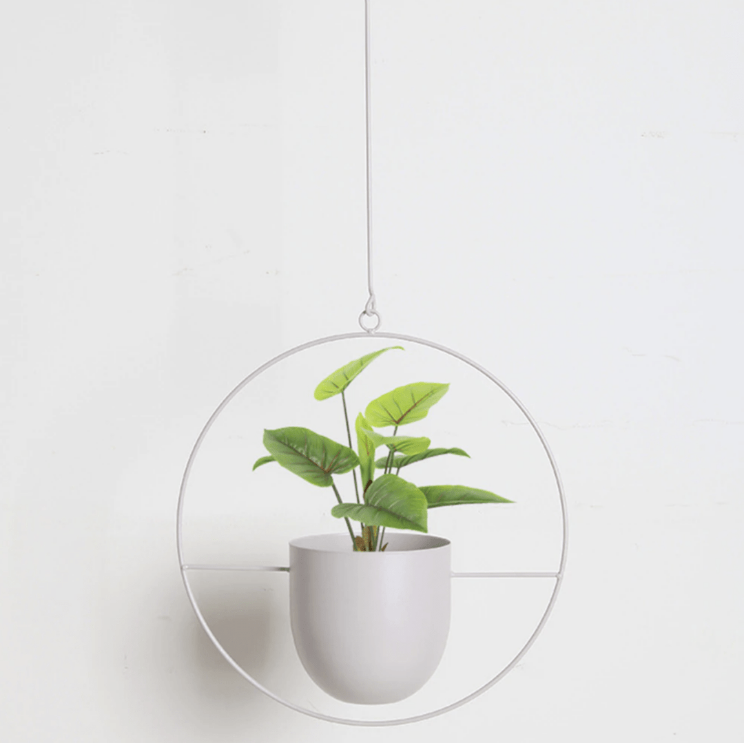 Wand-Pflanzenhalter Minimalistisch mit Verstellbarer Kette 11