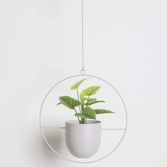Wand-Pflanzenhalter Minimalistisch mit Verstellbarer Kette 11