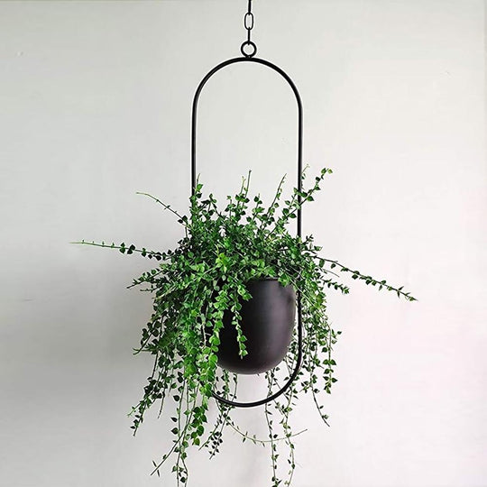 Wand-Pflanzenhalter Minimalistisch mit Verstellbarer Kette 4
