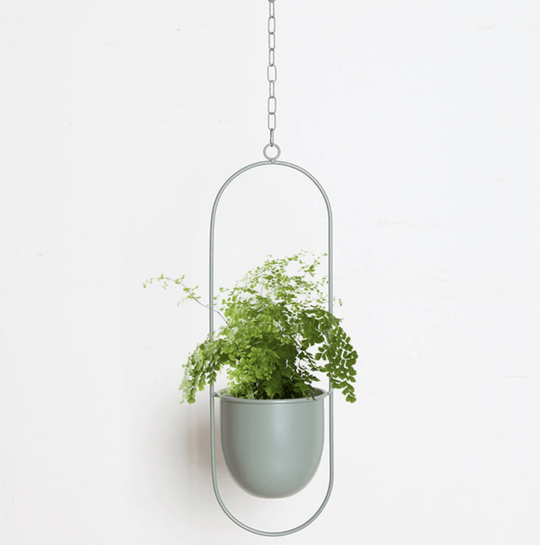 Wand-Pflanzenhalter Minimalistisch mit Verstellbarer Kette 8